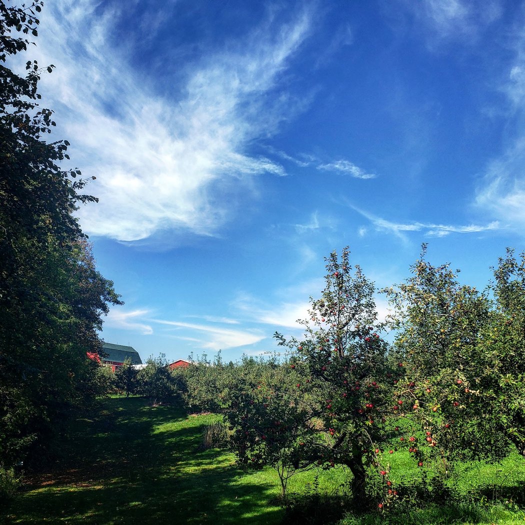 Pleasant Valley Orchard and Cidery 1