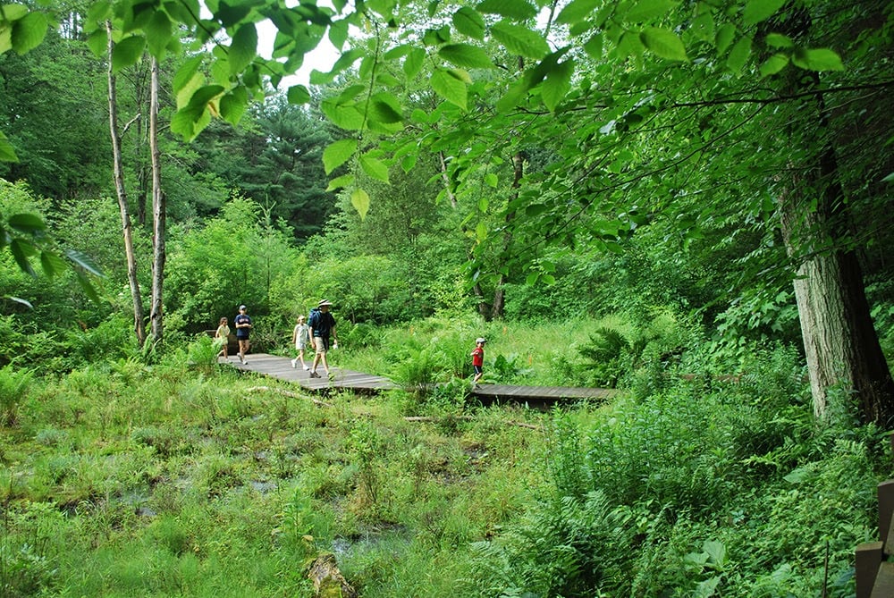 Cary Institute of Ecosystem Studies 1