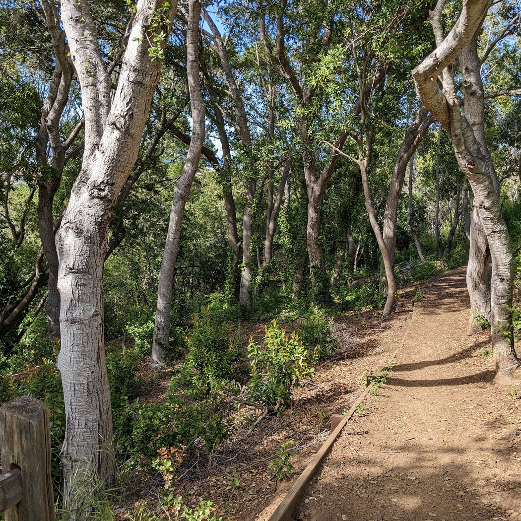 Mills Canyon Park 1
