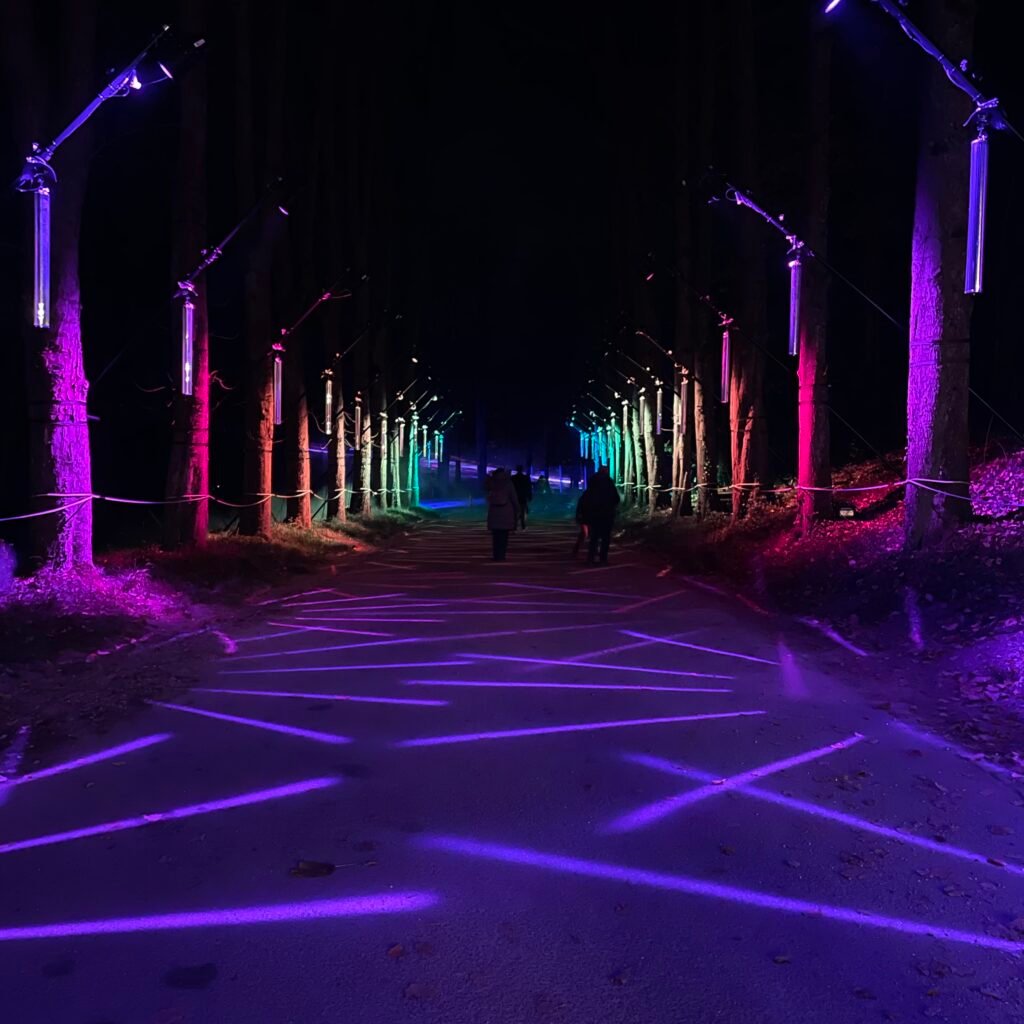 Lumières en Seine 1