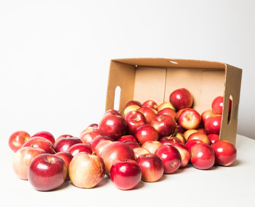 Pavero Apples and Farms 2