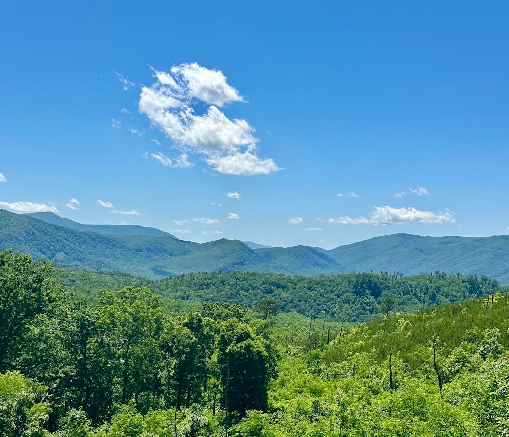 Roaring Fork Motor Nature Trail 2