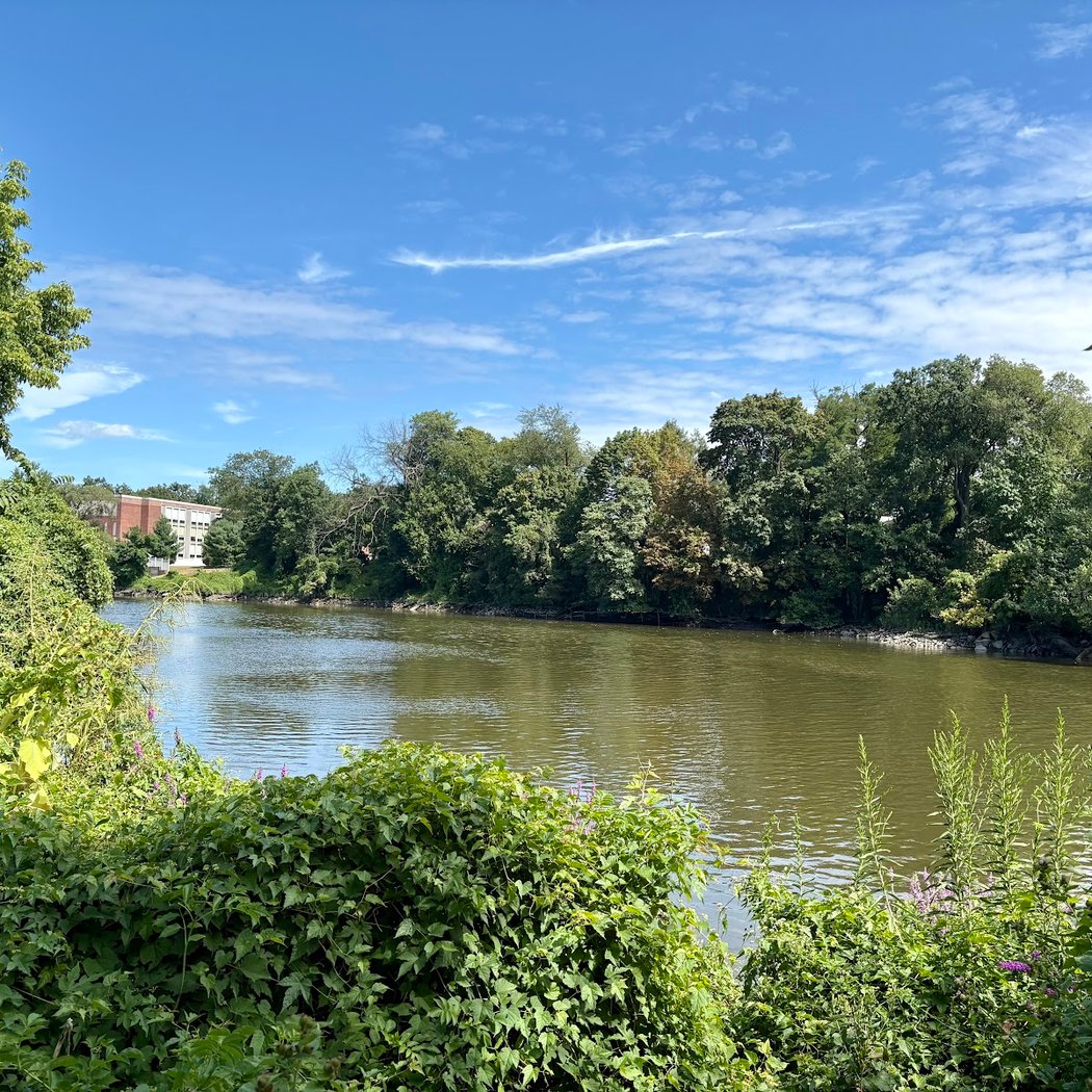 Hackensack River Pathway 3
