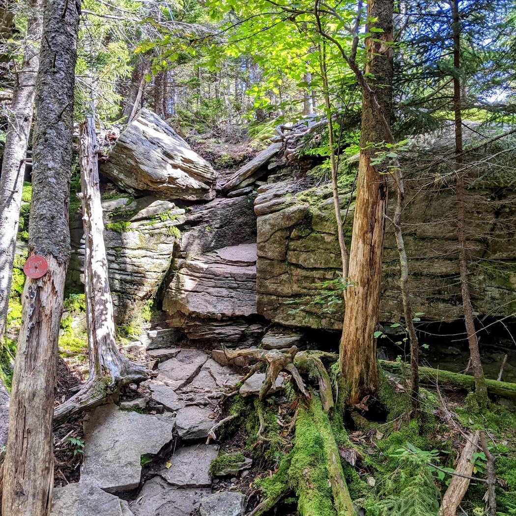 Indian Head Mountain 3