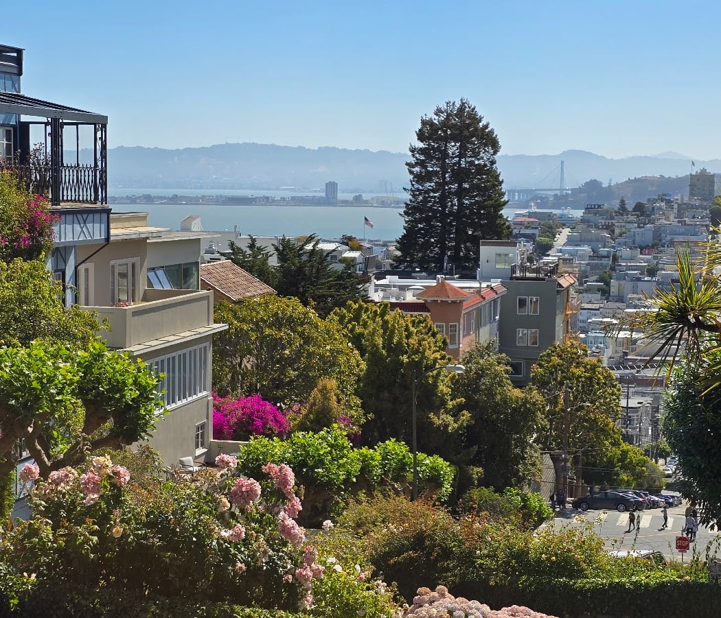 Lombard St & Lyon St 2