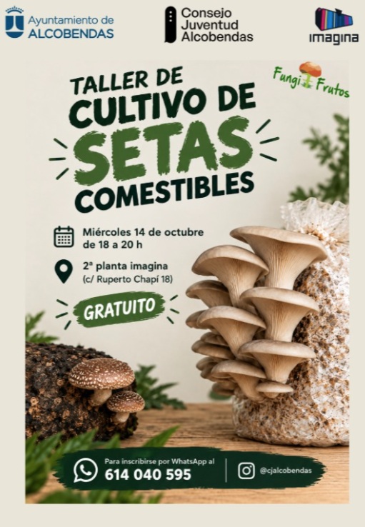 Taller de Cultivo de Setas Comestibles y Medicinales