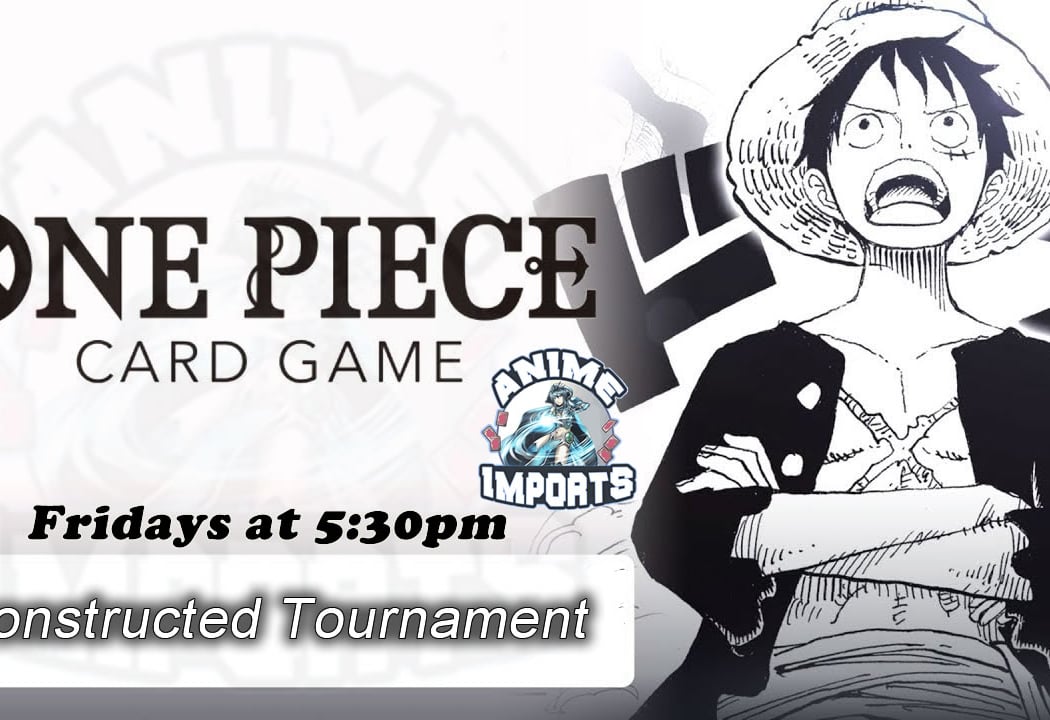One Piece Constructed 1