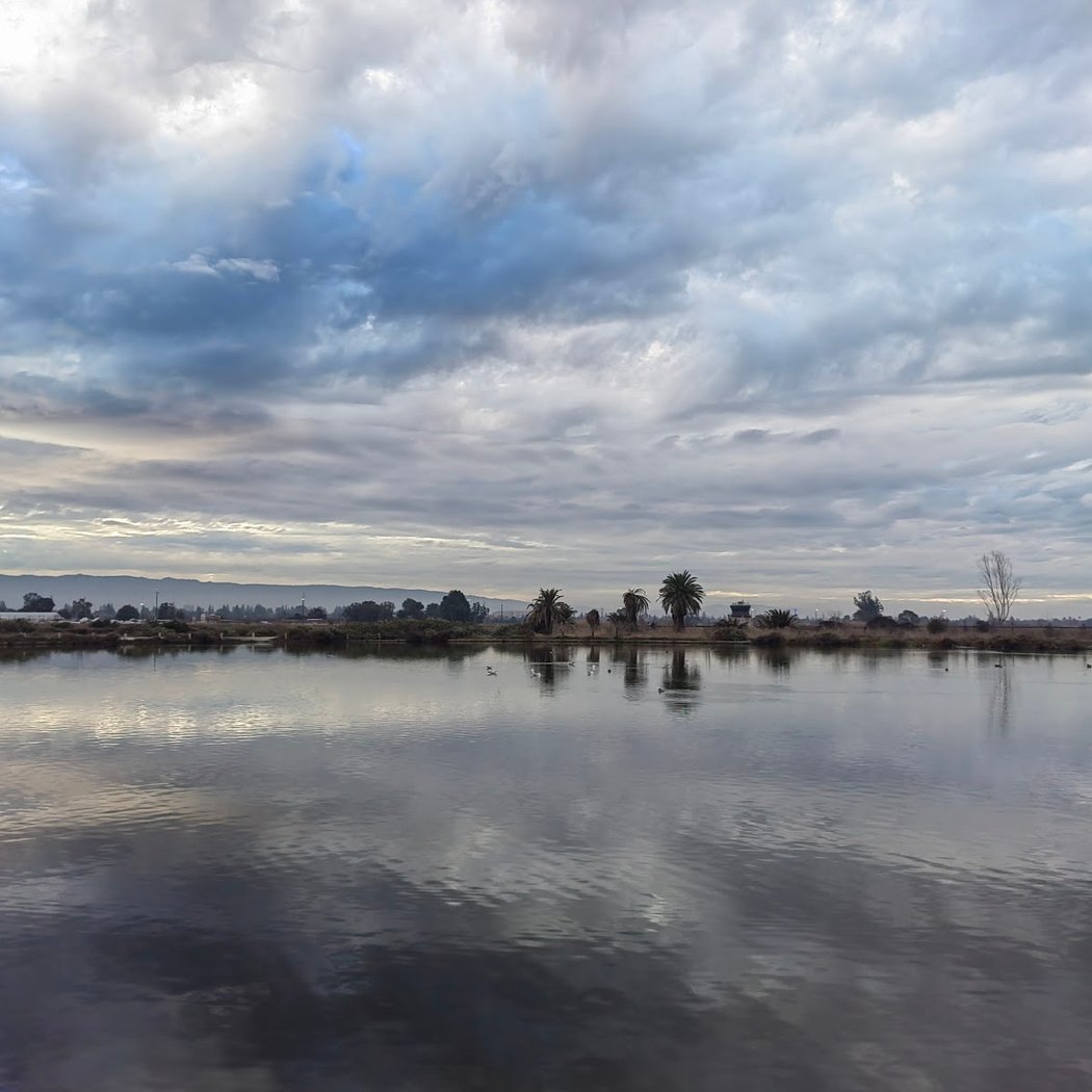 Palo Alto Restoration Area 1