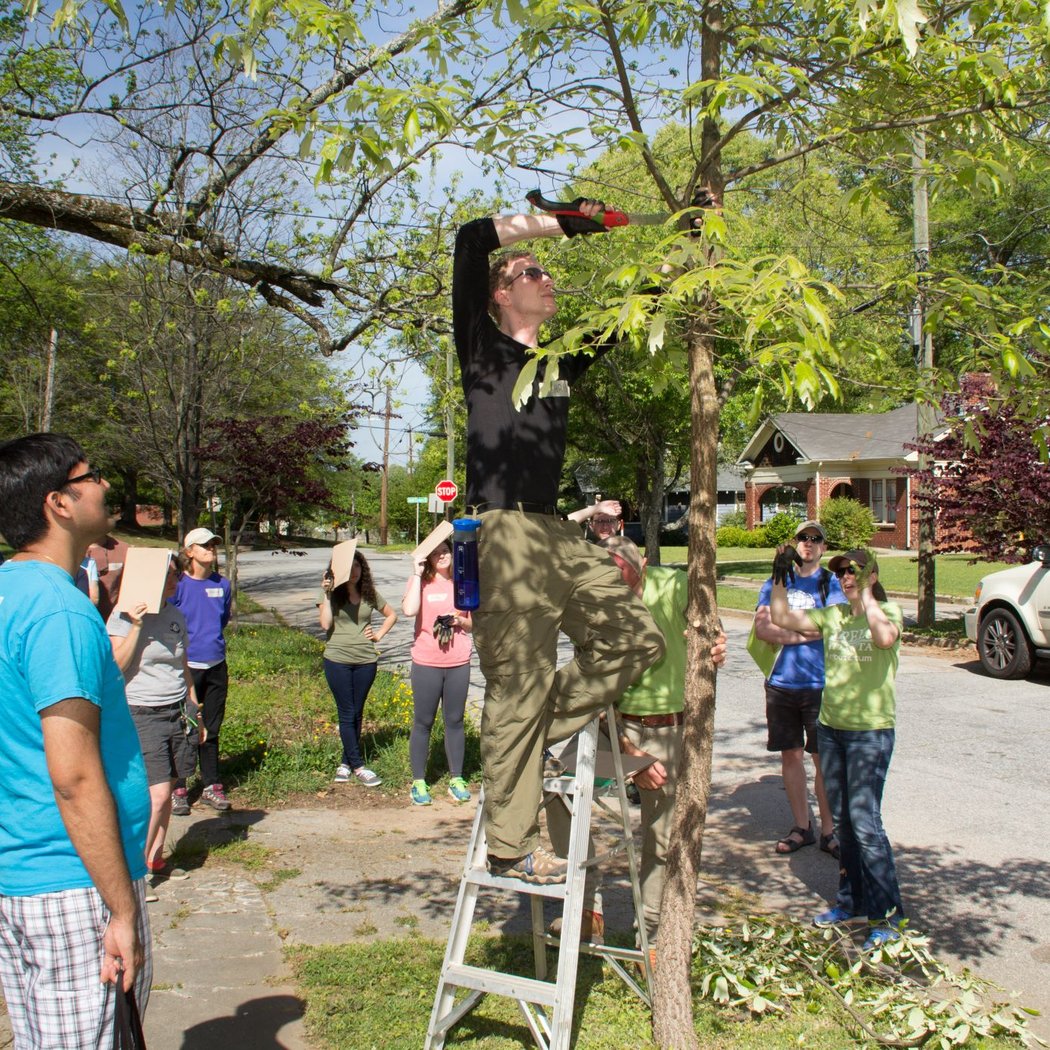 Volunteer Training: Pruning 102 1