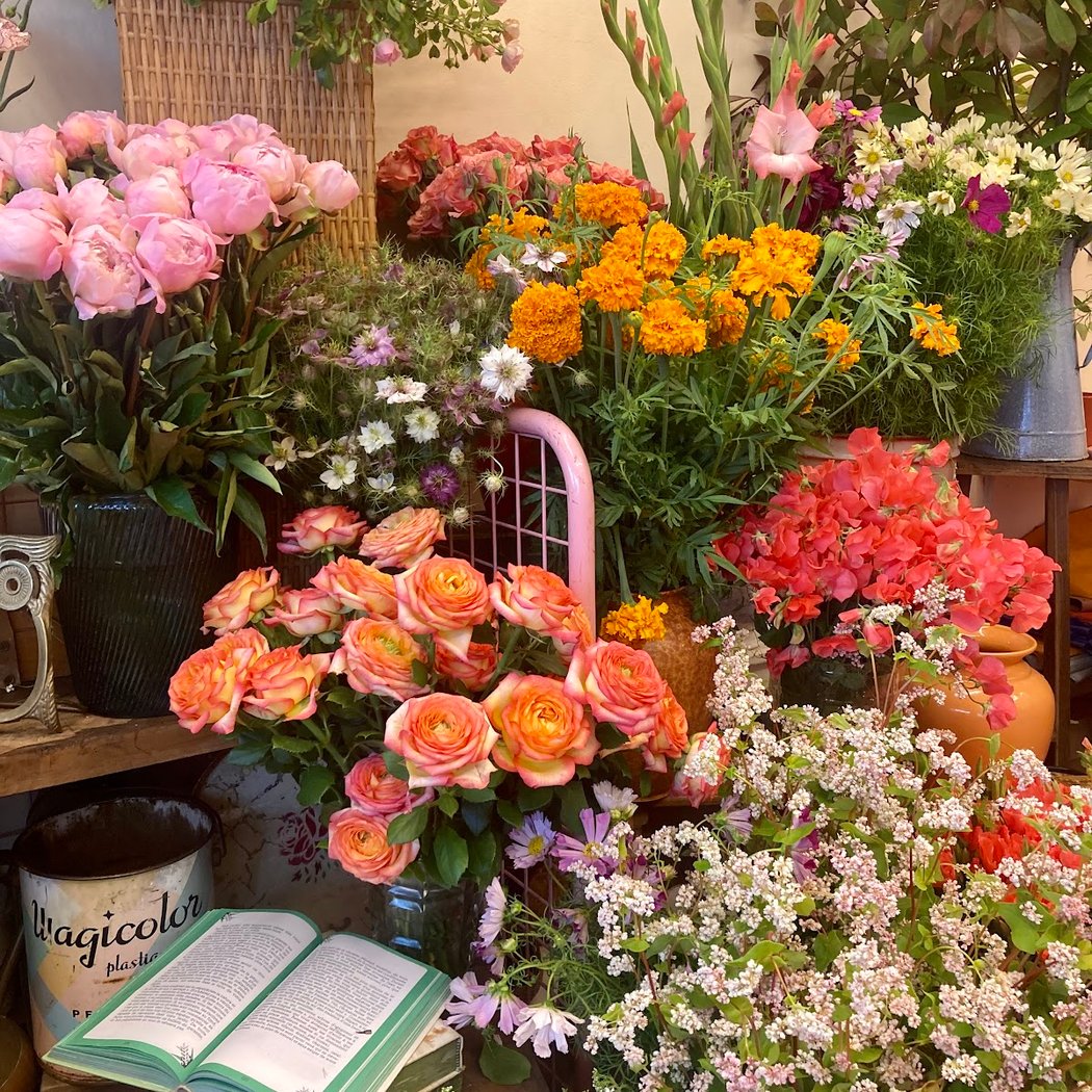 Parisette Fleurs 1
