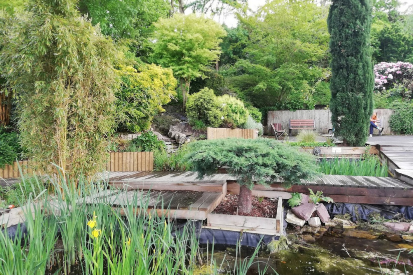 Jardin Botanique 2