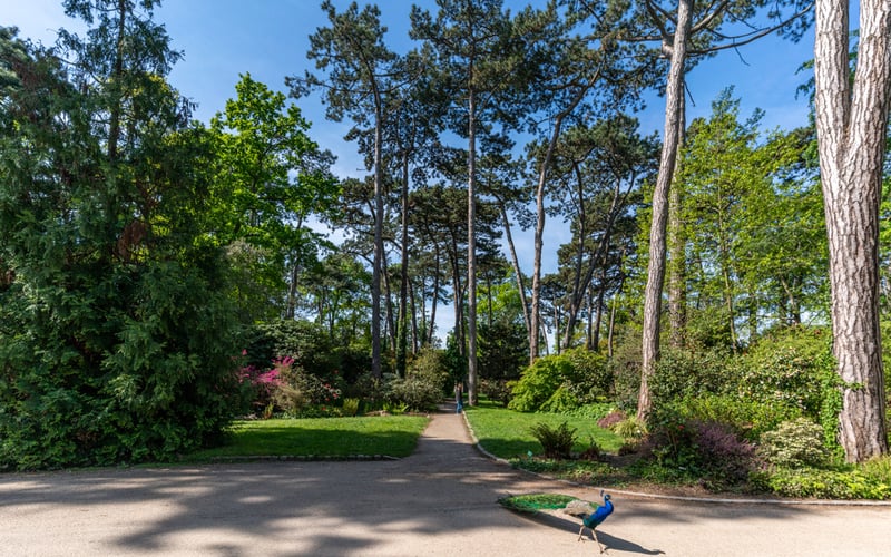 Parc Floral de Paris 3