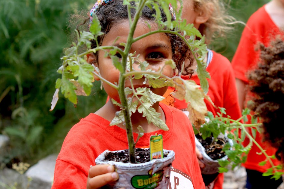 Camp Fort Greene Summer 2026 2