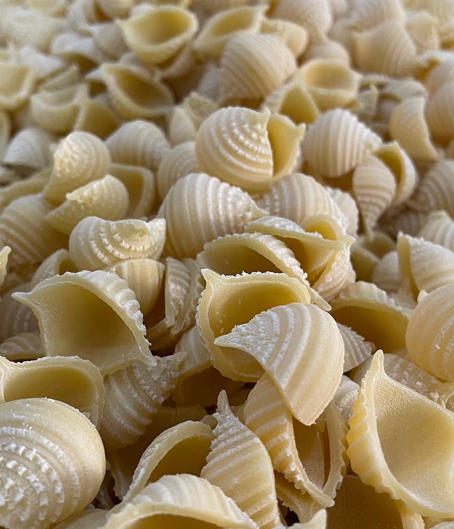 Coquillettes & Fusilli 3