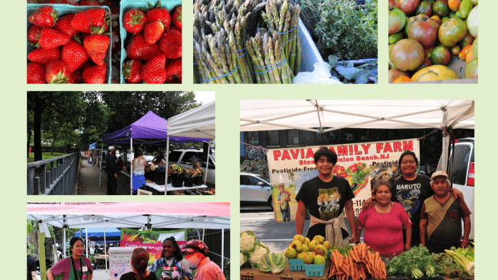 Irving Square Park Farmers Markets 1