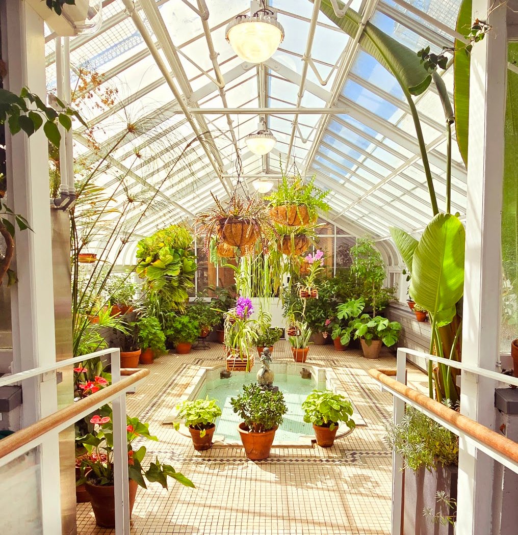 Westmount Conservatory and Greenhouses 1