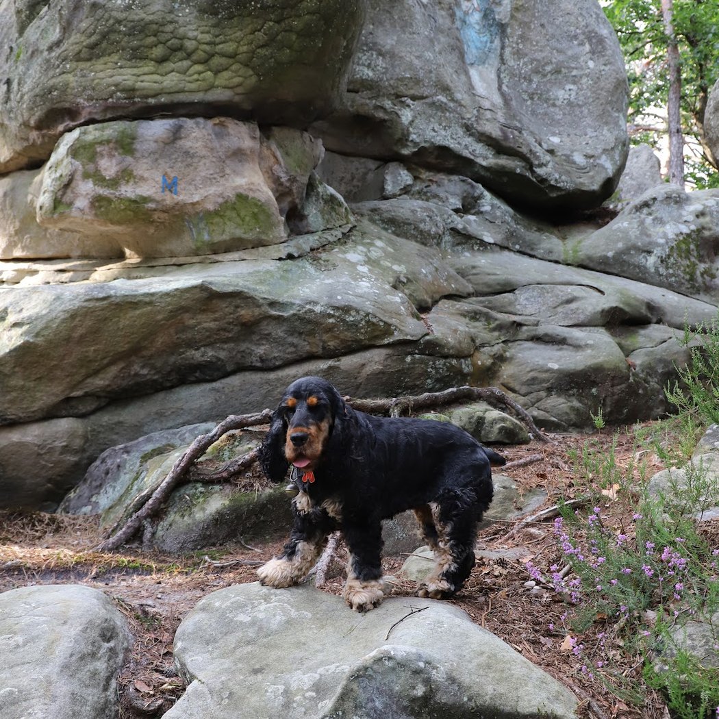 Mont Ussy 3