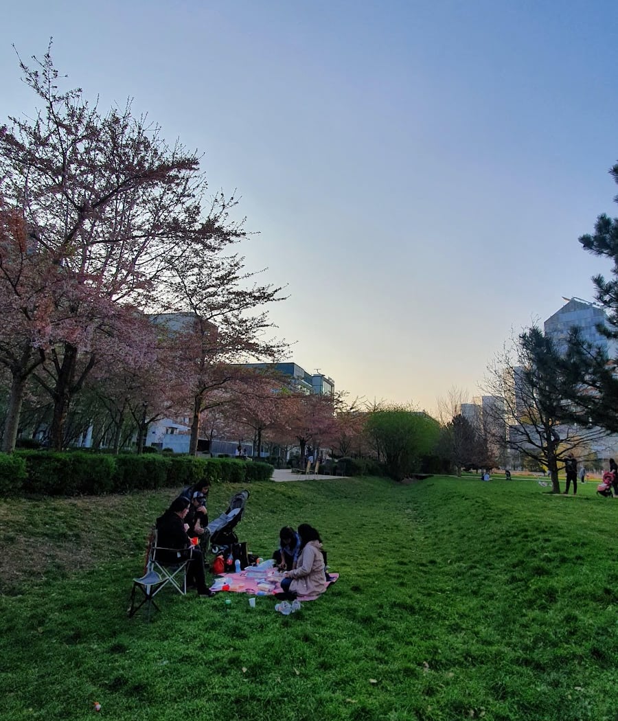Parc de Billancourt 2