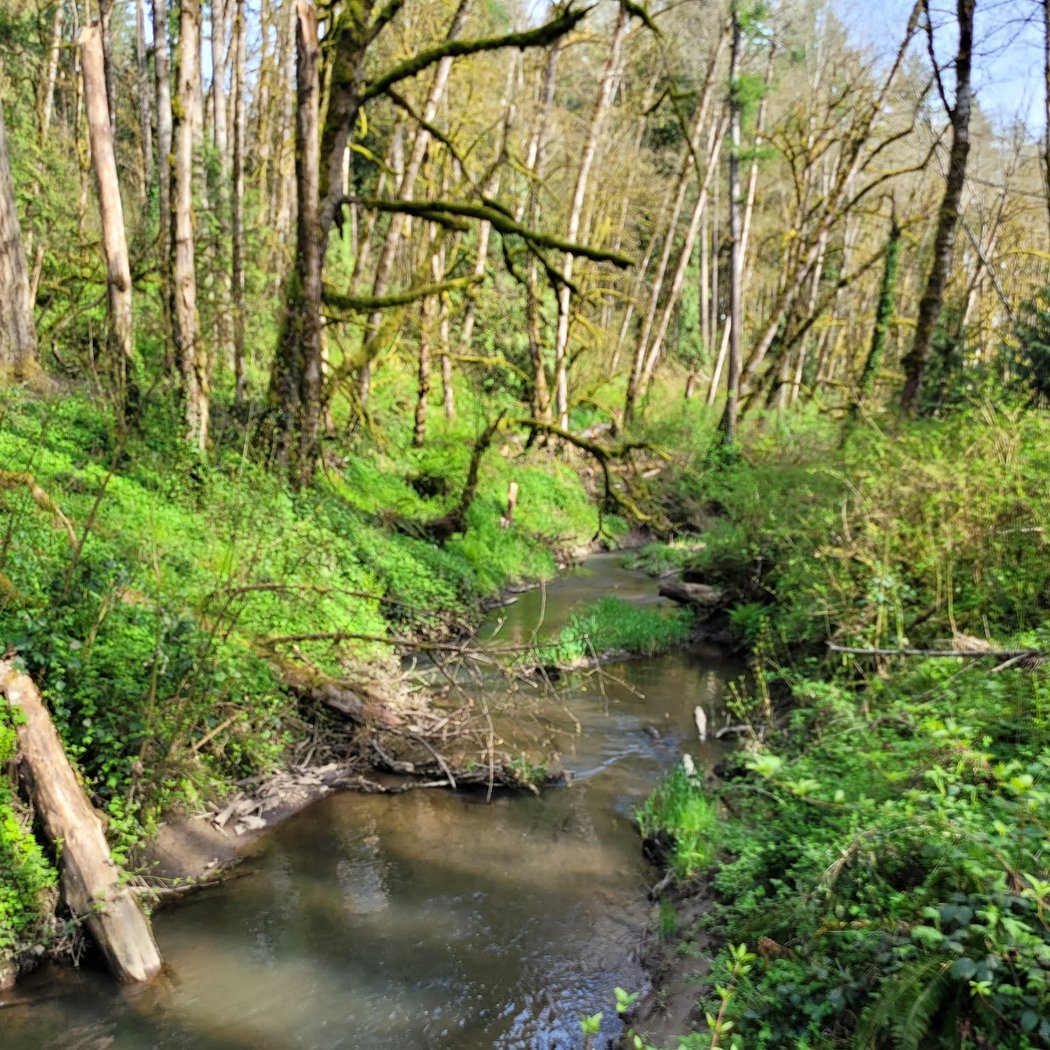Storytime & Nature Walk 3
