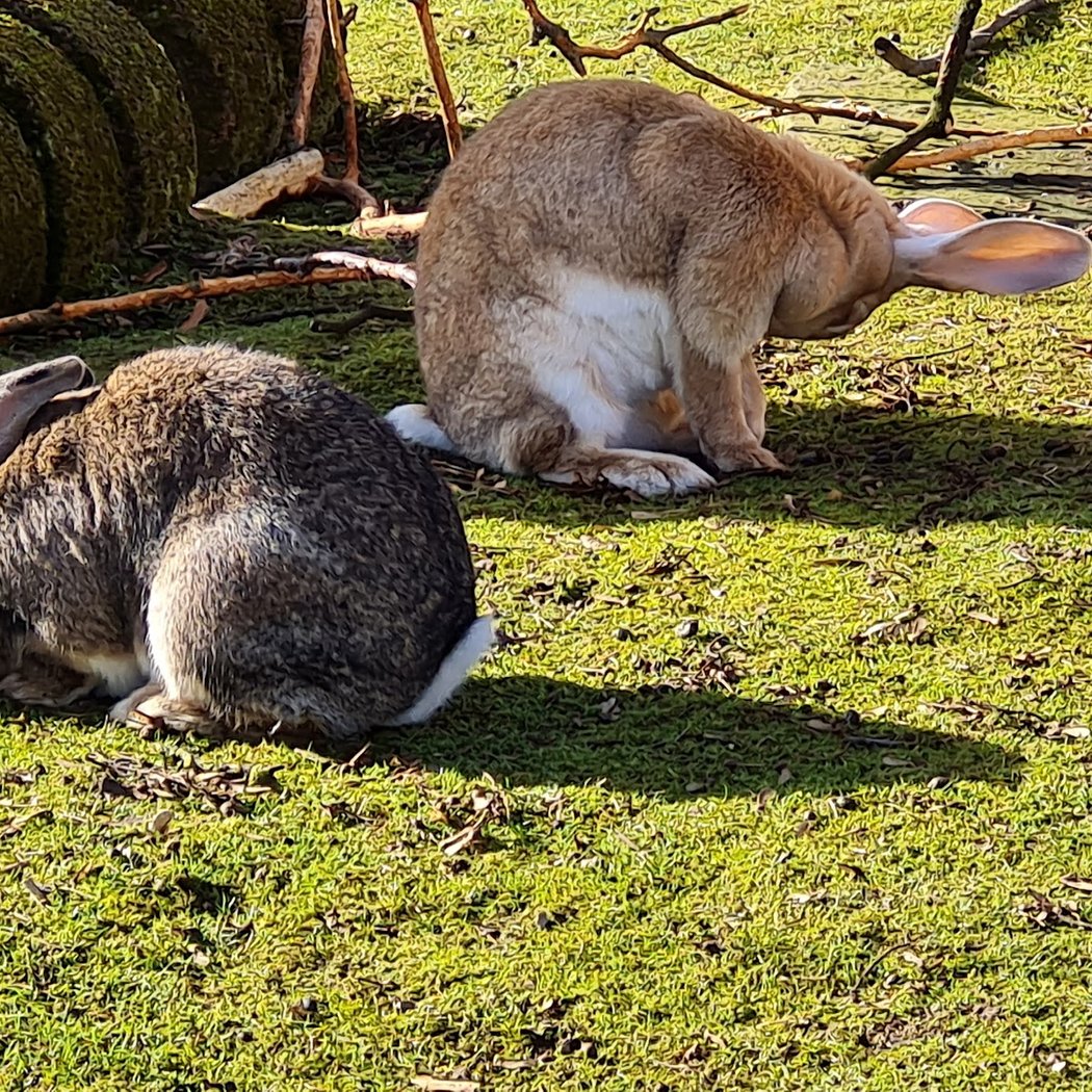 Umweltgarten 2