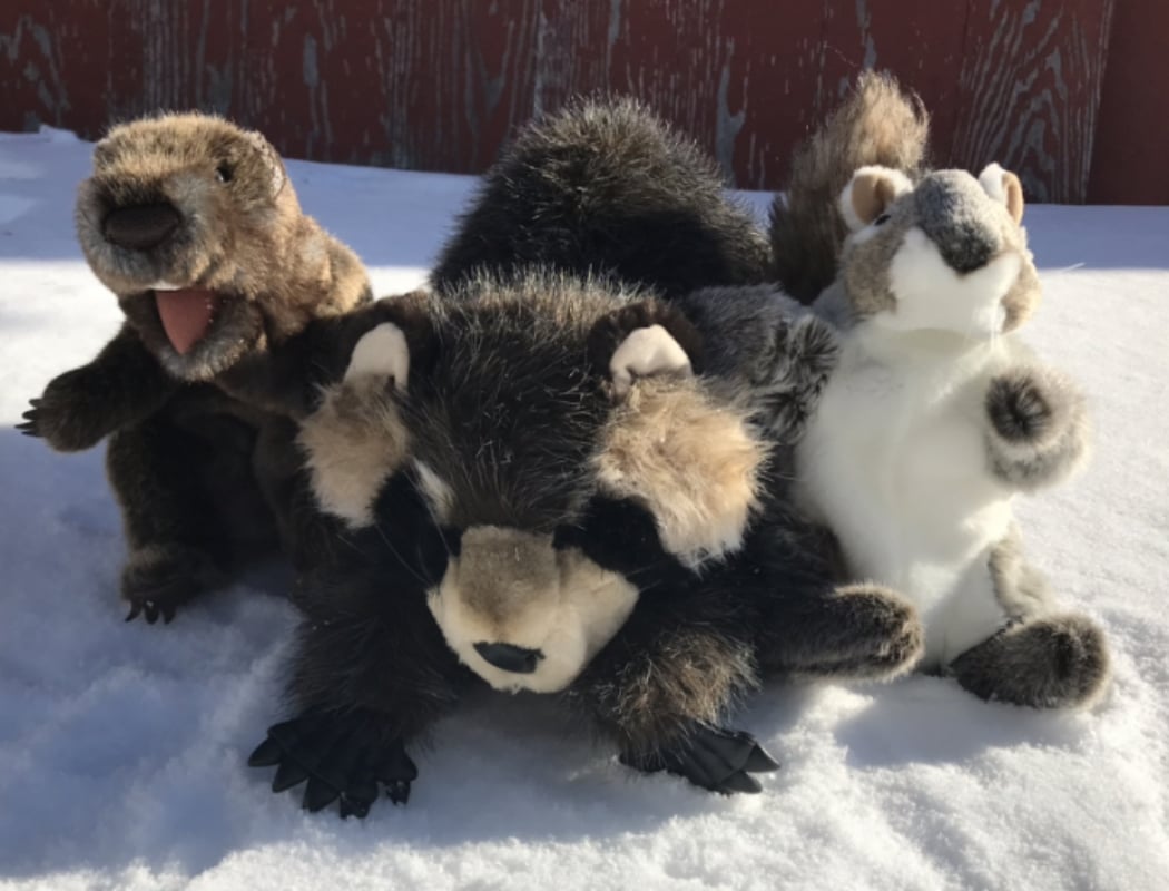 HOME SCHOOL ANIMALS IN WINTER 1