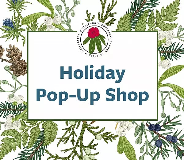 UC Berkeley Botanical Garden Holiday Pop-Up Shop 1