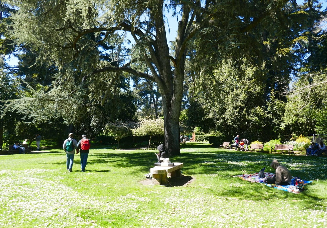 Shakespeare Garden 5