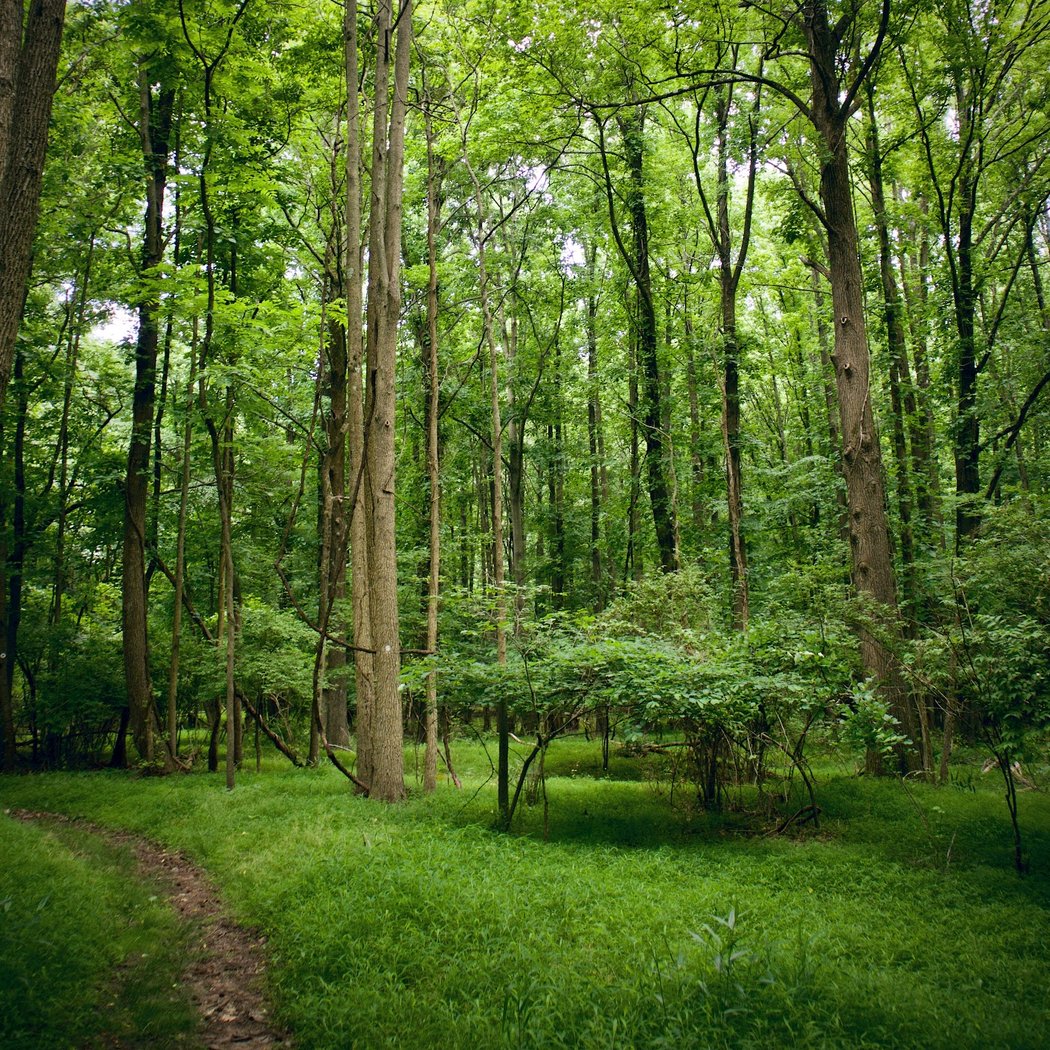 Migratory Bird Hike 1