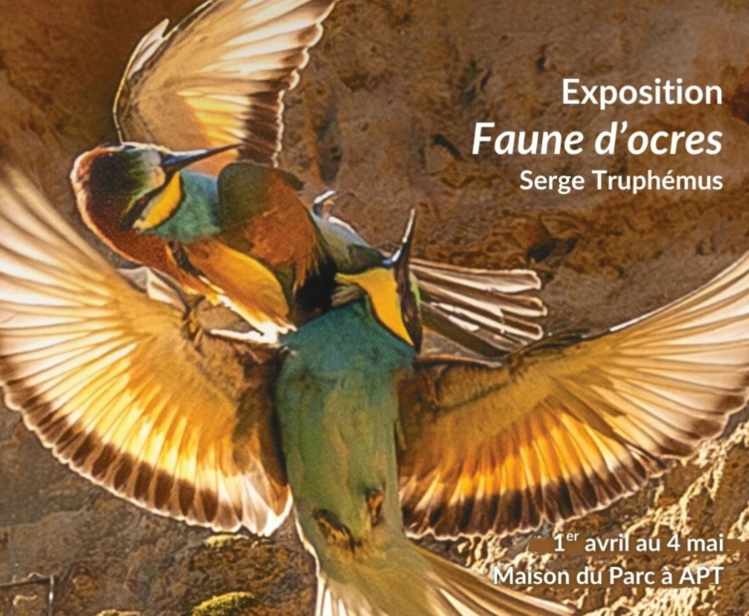 Exposition photos « Faunes d’Ocre » 1