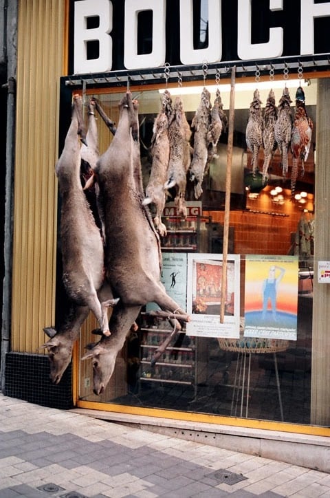 Marché aux Légumes + marché bio (mercredi soir) 2