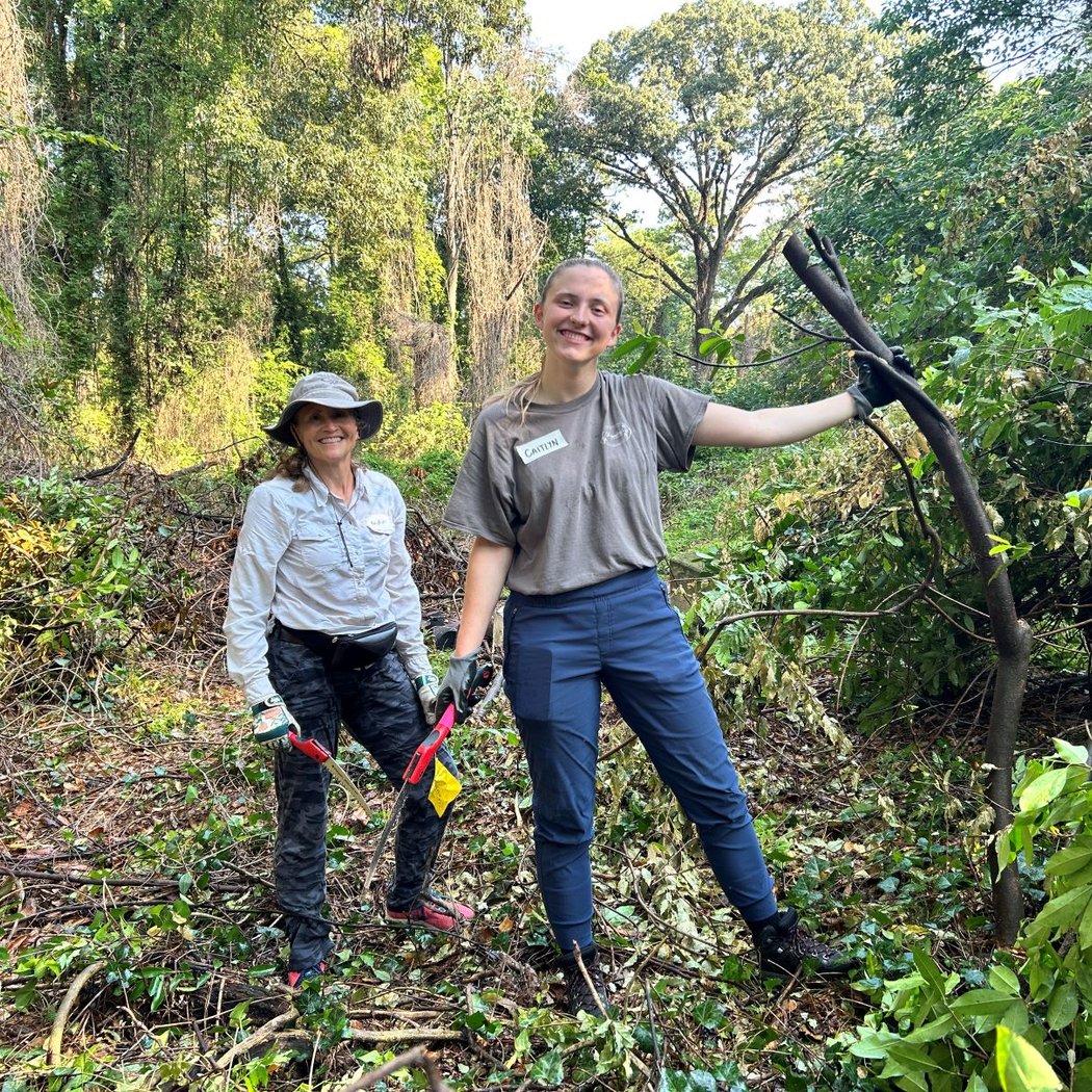 Frazer Forest Volunteer Workday with Trees Atlanta 3