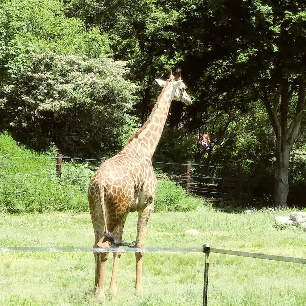 Franklin Park 2