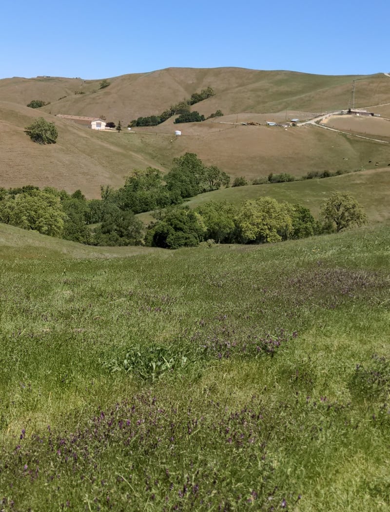Boccardo Loop Trail 3