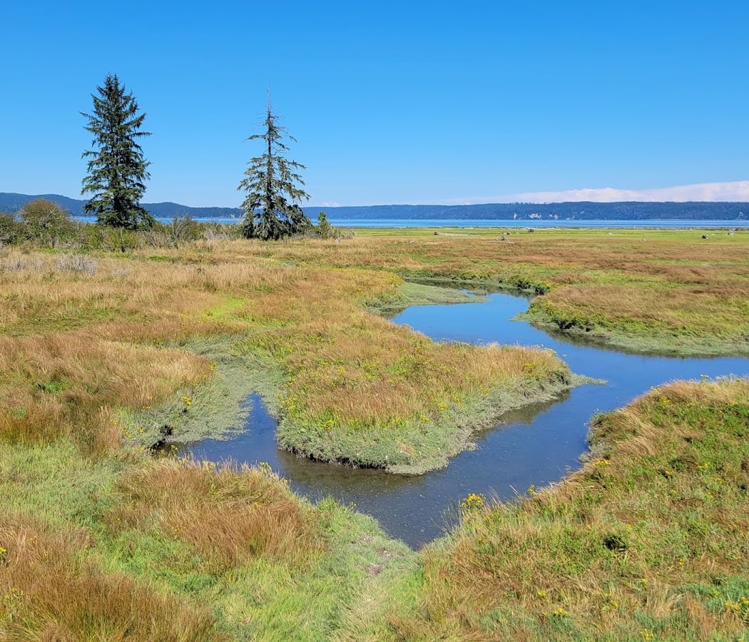Dosewallips State Park 1