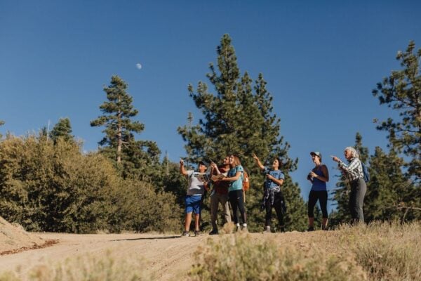 July Wild Bird Walk 2