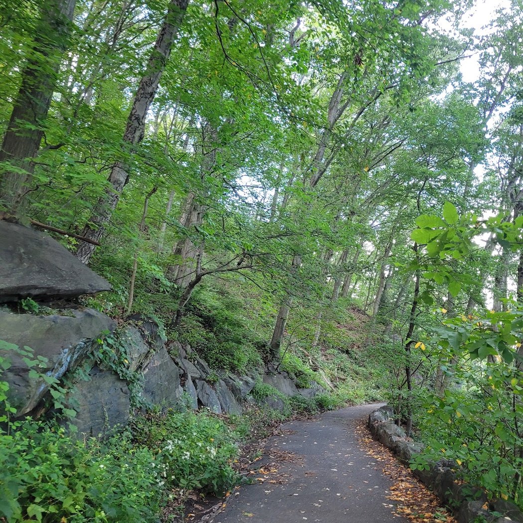 Overlook Meadow 3