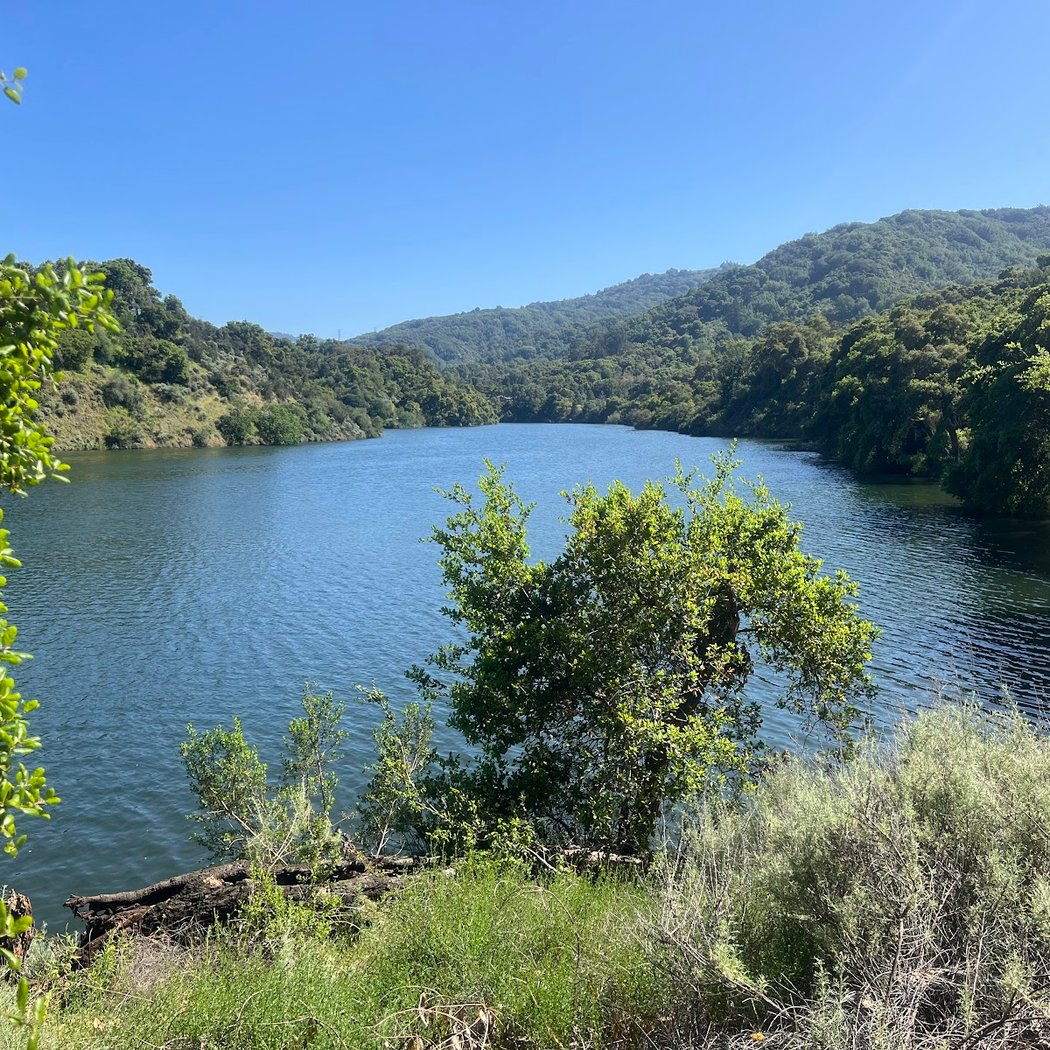 Stevens Creek County Park Lakeshore Picnic Area 1