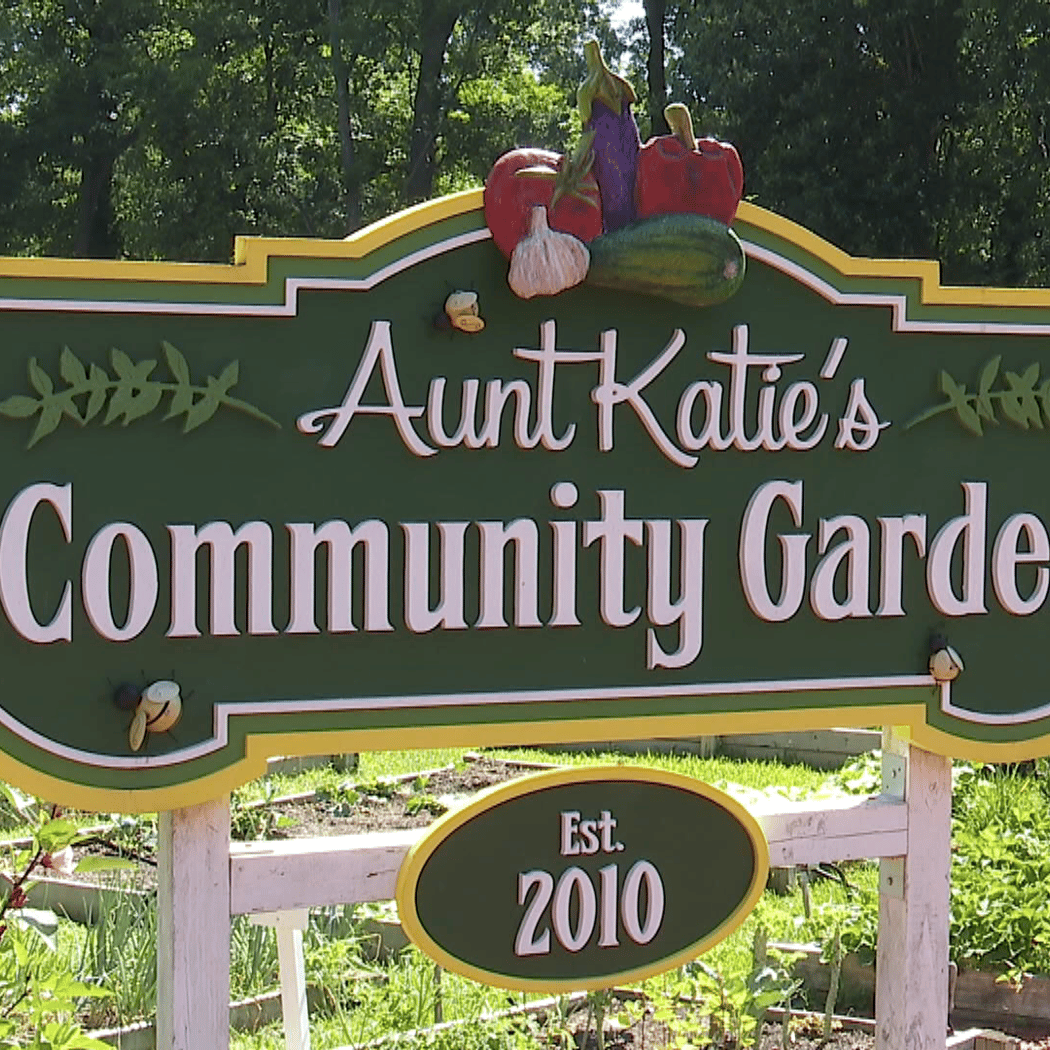 Aunt Katies Community Garden 2