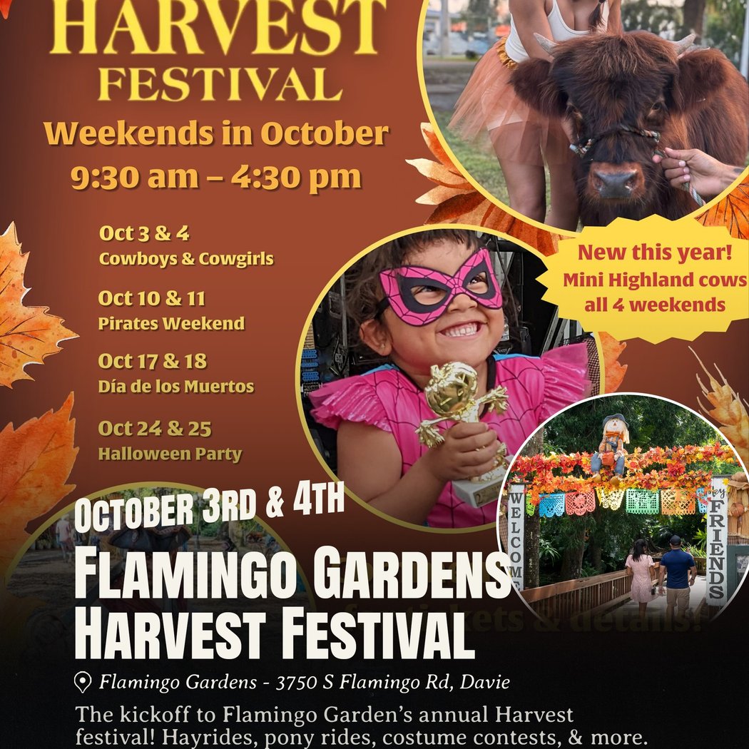 Harvest Festival Weekends
