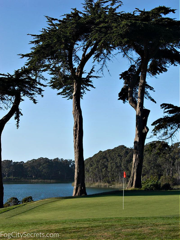 Lake Merced Park 3