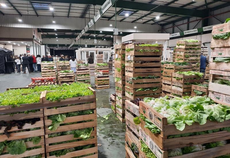Carreau des Producteurs 3