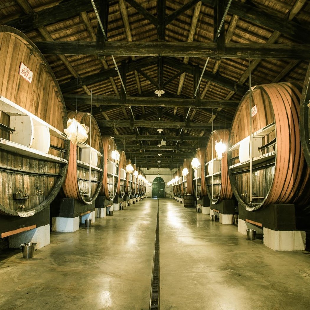 La Maison Noilly Prat - Musée - Bar - Boutique 1