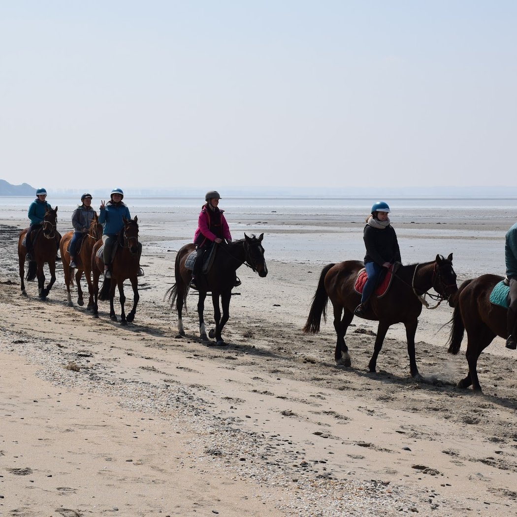 The Riage horse riding 3
