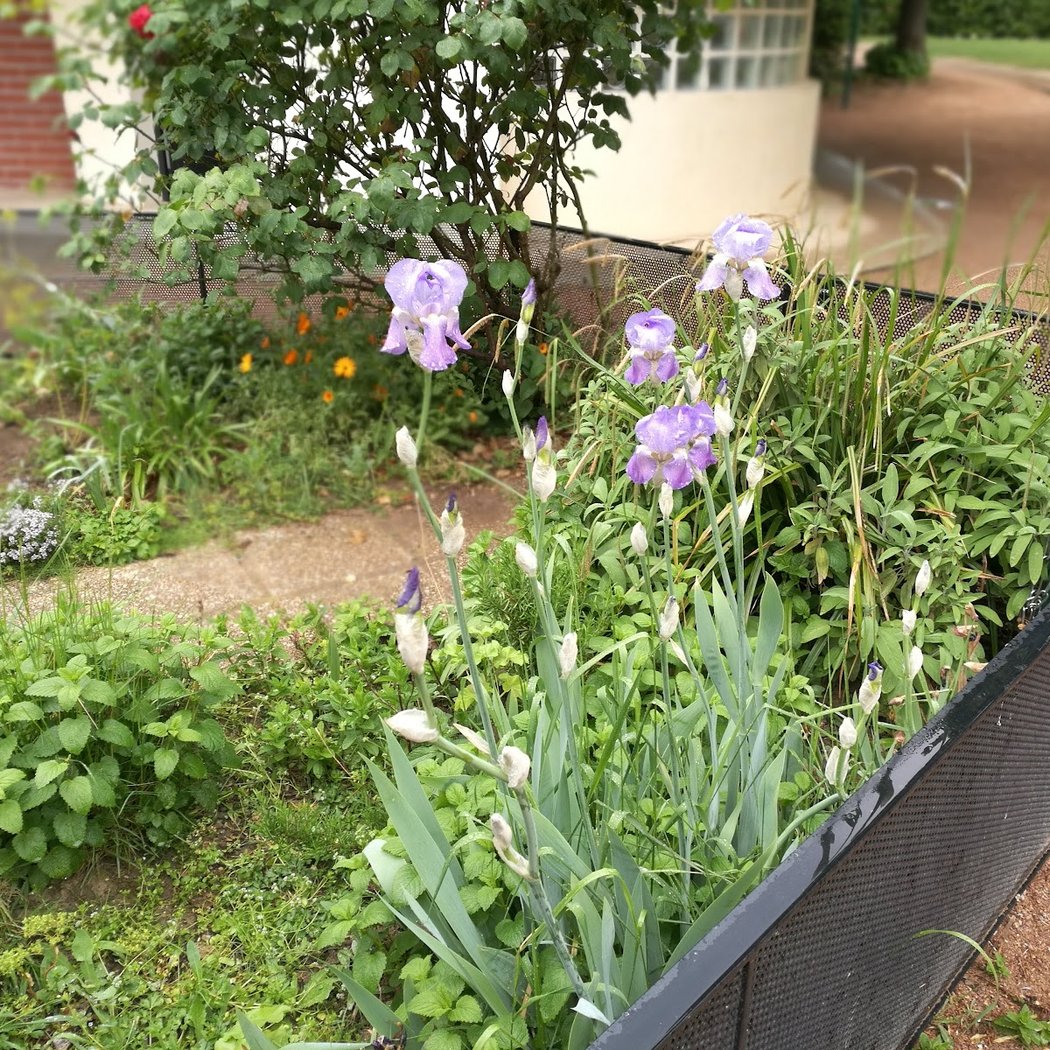 Jardin ouvert la nuit 5
