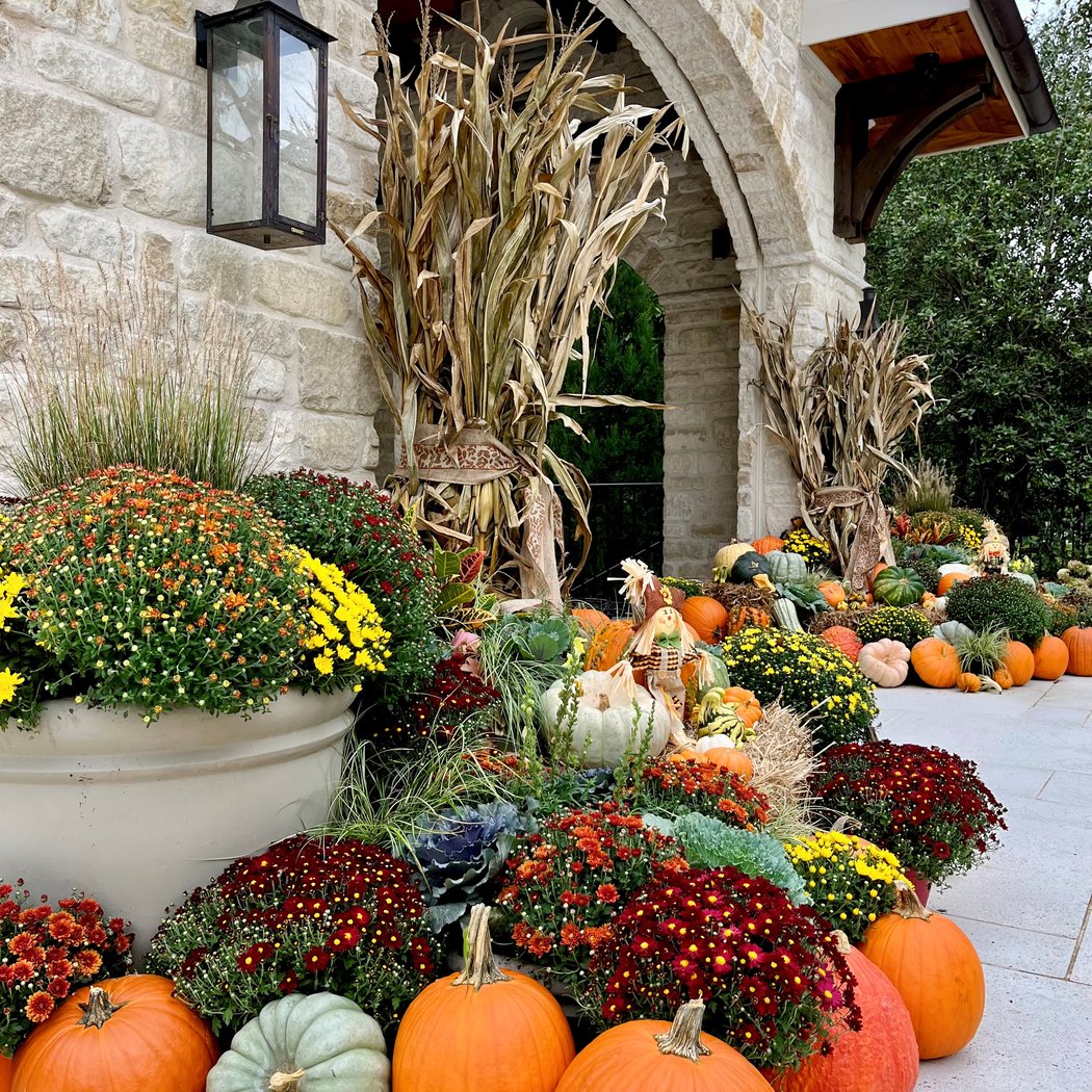 Pumpkin Path Display 3