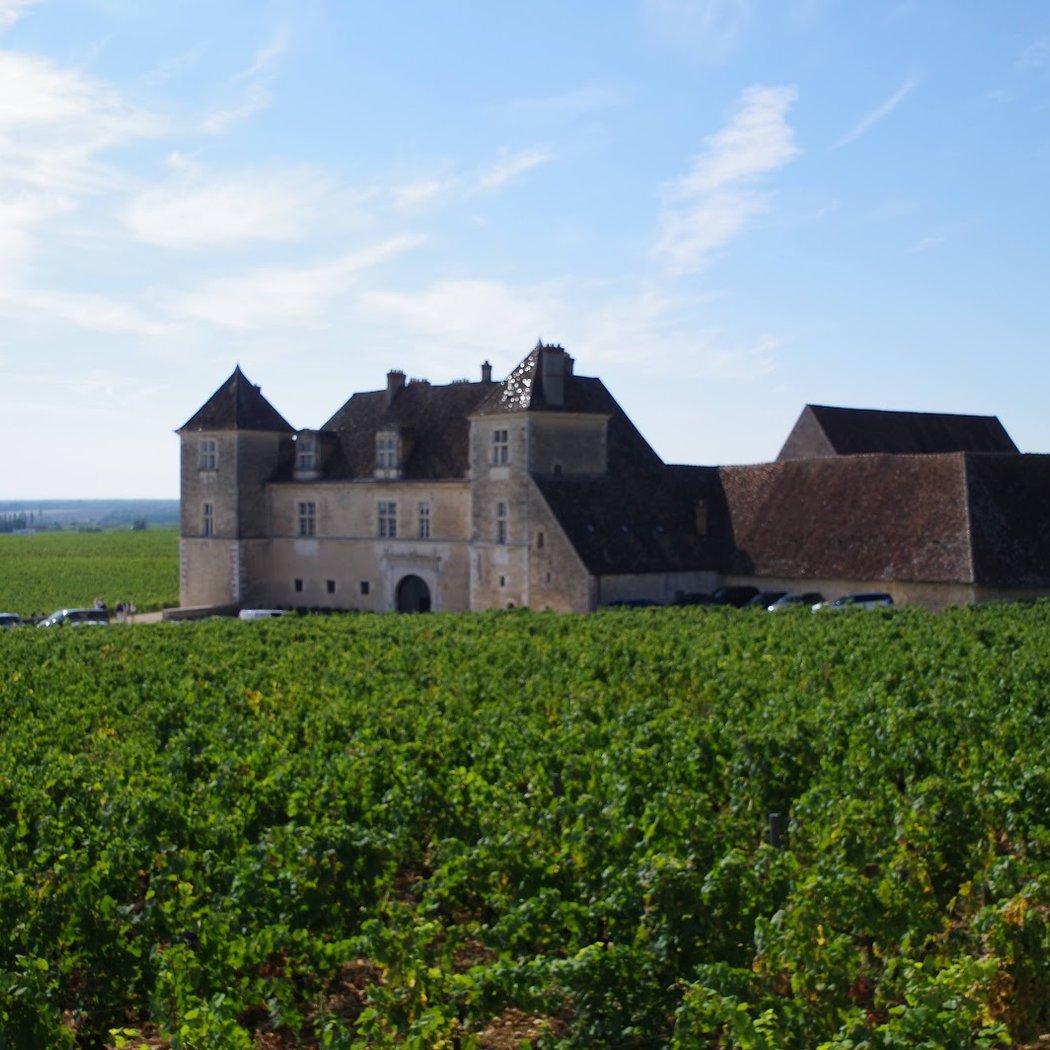 Côte de Nuits 2