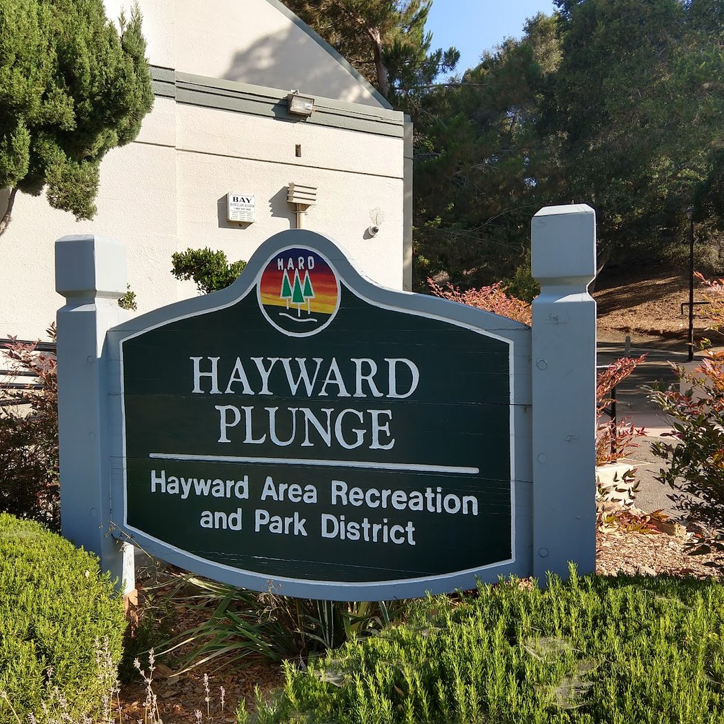 Hayward Plunge 3