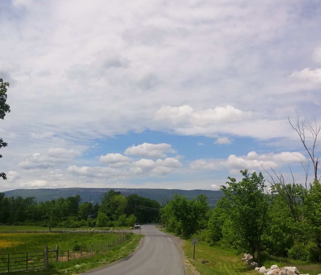 Meadow View Farm 2