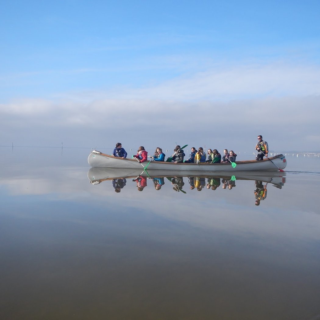 Formation aux oiseaux du littoral 3
