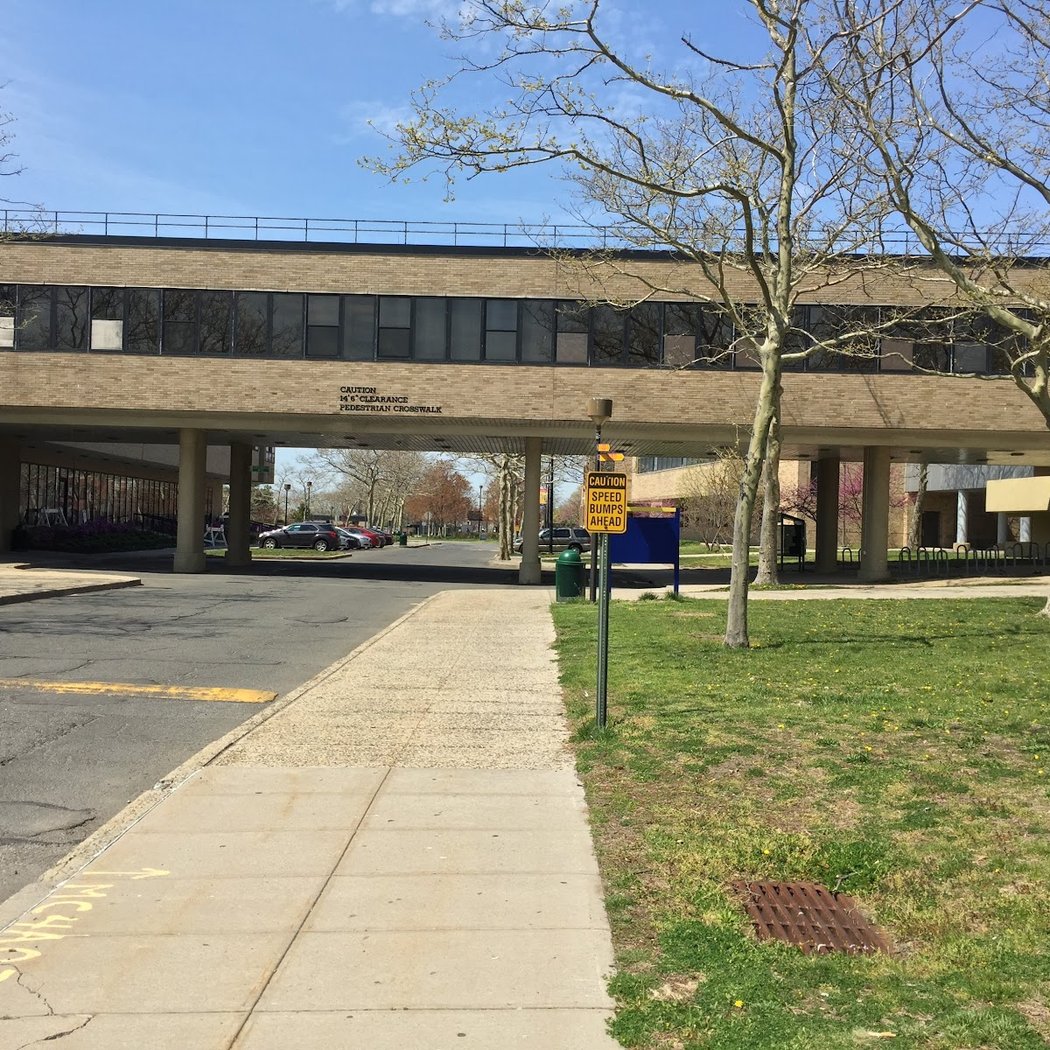Kingsborough Community College 3